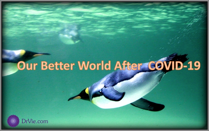 Read more about the article Better World Order Post COVID-19 Equality Equity Environment