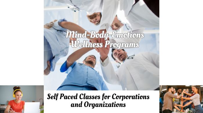 Dr Vie wellness programs for corporations organizations online self paced stress management mental health